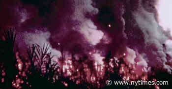 In ‘Cane Fire,’ When an Image of Paradise Creates Loss