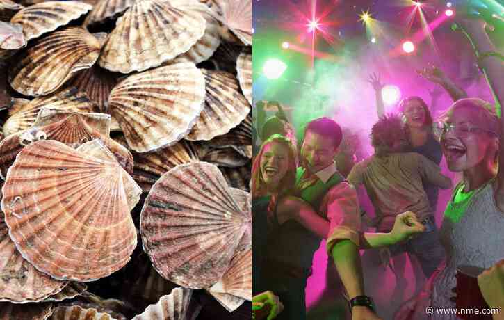 Scientists discover that scallops “love” disco lights