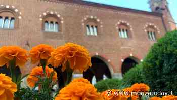 Festival dell’Acquarello a Monza - MonzaToday