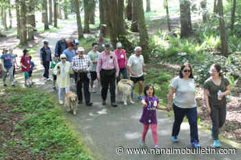 Alzheimer’s Society of B.C. reactivates fundraising walk in Nanaimo