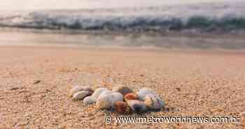 Descoberta de mulher ao buscar conchas em praia termina em caso de polícia - Metro World News