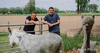 “In 'De mol' kon hij plots niet meer echt tegen zijn verlies”: broers Sven en Kristof Pede over hun band - Het Laatste Nieuws