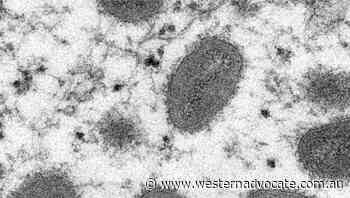 No evidence monkeypox has mutated: WHO - Western Advocate