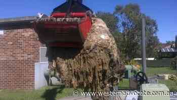 Australia takes aim at fatberg scourge - Western Advocate