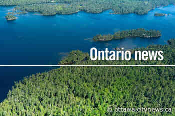 Numerous injuries after chaos breaks out at east Toronto beach - Ottawa.CityNews.ca