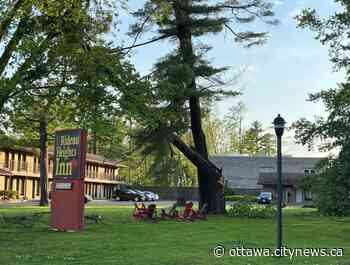 Ottawa's storm dubbed a 'derecho' by Environment Canada - Ottawa.CityNews.ca