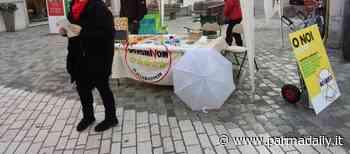 Elezioni Parma, dal M5S l'auspicio che ad elettori sia garantita massima pluralità di scelta - - ParmaDaily.it