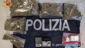 Parma, blitz della polizia in un condominio: due arresti per spaccio di droga - La Repubblica