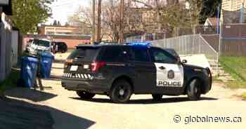 Calgary police, EMS respond to reports of gunfire in Acadia - Global News