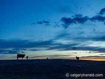 On the Road: Prairie light - Calgary Herald
