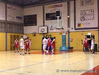 Playoff G2, la Pallacanestro Urbania pareggia i conti contro il Basket Cagli - Promozione Playoff A/B - Semifinali - Basketmarche.it