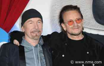 U2's Bono and The Edge reportedly writing music for Jim Sheridan biopic - NME