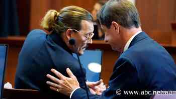 Hand surgeon rejects Johnny Depp's vodka-bottle-thrown reason for his severed finger