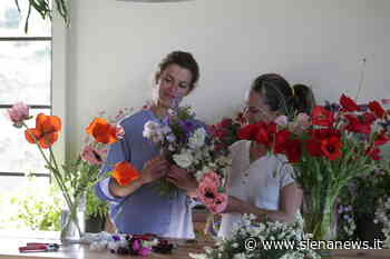 Nasce in terra di Siena la prima Flower farm: il potere dei fiori e l’idea di tre sorelle - Siena News