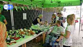 Luckenwalde: So lief erstes Hoffest der Volkssolidarität nach sechs Jahren Pause - Märkische Allgemeine Zeitung