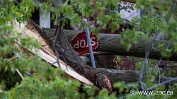 Death toll from Saturday's storm hits 10 as communities survey damage
