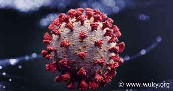 Even as coronavirus gains strength again in Kentucky, indicators show it's not sending as many people to the hospital - WUKY