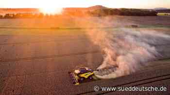 Bauernverband will weniger Ackerflächen stilllegen - Wirtschaft - Süddeutsche Zeitung - SZ.de
