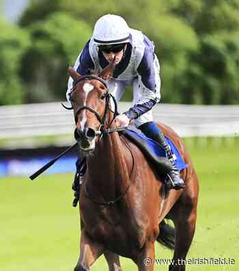 KILLARNEY TUESDAY: Cigamia earns Royal Ascot date - The Irish Field
