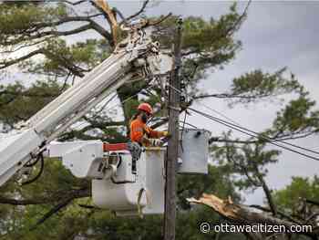 Ottawa storm 2022: 'Crushed' — Hydro Ottawa predicts two to four more days to restore power to most of Ottawa