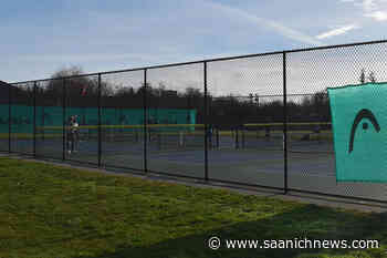 North Saanich's Blue Heron Park could host pickleball courts – Saanich News - Saanich News