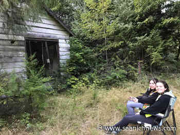 Volunteers called up to bat for BC Annual Bat Count – Saanich News - Saanich News