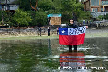 Saanich Peninsula Hospital's 'Aquaman' splashes up in North Saanich – Saanich News - Saanich News
