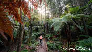 Whakarewarewa Forest Loop: We test the new Great Ride with mud pools and an emerald lake - Stuff