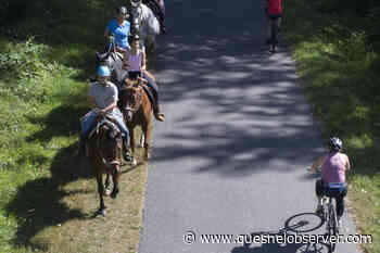 EDITORIAL: Whoa! Expect horses, riders on roads and trails – Quesnel Cariboo Observer - Quesnel - Cariboo Observer