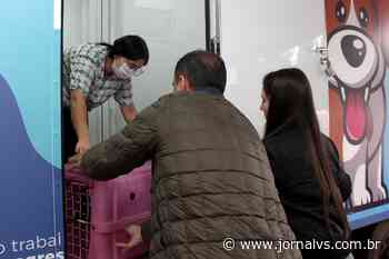 Castrações agora são semanais no Canil Municipal de Esteio - Jornal VS