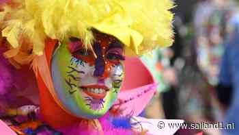 Carnaval in Olst - - Salland1