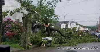 Fallen Tree Damages Home and Vehicle in Saint Clair - Skook News
