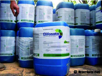 Bene Vagienna, bovini morti avvelenati: i carabinieri rettificano - Il Corriere di Alba, Bra, Langhe e Roero