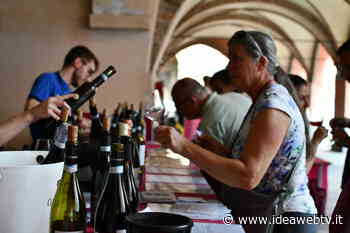 Alba, grande successo per la quarta edizione della Festa dei Vini Autoctoni del Piemonte - IdeaWebTv