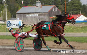 Driving title in three-way tie at Cumberland - Harnesslink