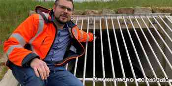 Marl: Regenrückhaltebecken sind aus dem Rennen - wo tollen Hunde in Marl? - Marler Zeitung