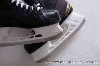 Olds Minor Hockey presidents confident enrolment will continue to rise - Mountain View TODAY