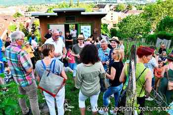 Kühle Weine unter warmer Sonne beim Rebblütenfest in Herten - Rheinfelden - Badische Zeitung