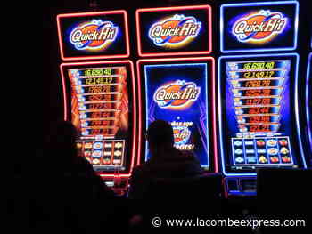 Lacombe horse racing track wins big – Lacombe Express - Lacombe Express