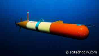 Major Step Forward in Monitoring Ocean Health Through “DNA Soup”