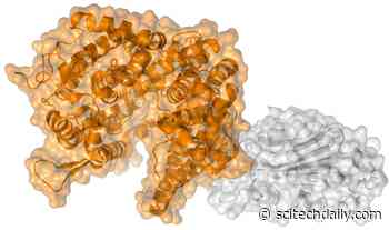 How Three Mutations Work Together To Spur New COVID-19 Variants