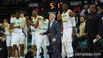 Brian Gregory or Jeff Scott: Which USF men’s coach is winning the portal sweepstakes? - Tampa Bay Times