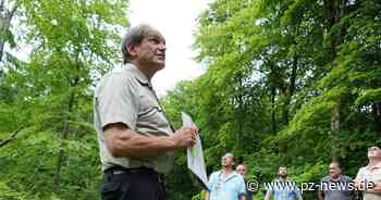 Strategien gegen den Klimawandel: Neulinger Gemeinderat geht mit dem Forst auf Waldbegehung - Region - Pforzheimer Zeitung