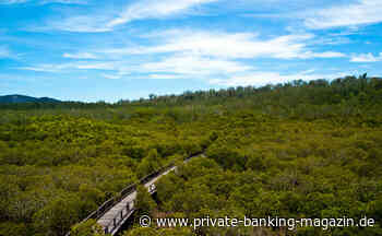 Nomura steigt bei Forst-Spezialisten ein - private banking magazin