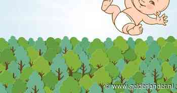 Voor elke nieuwgeborene plant Lingewaard een boom - De Gelderlander