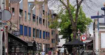 Werd monumentale boom in Bossche binnenstad doodziek van cement? - BD.nl