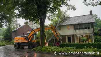 112-nieuws: boom valt op huis • drugsdumping Son en Breugel - Omroep Brabant