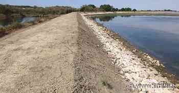 Difesa idraulica e irrigazione, i lavori a Grado - Il Friuli