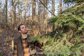 Neuer Chef im Renninger Wald: Vom Mechatroniker zum Revierförster - Leonberger Kreiszeitung - Leonberger Kreiszeitung