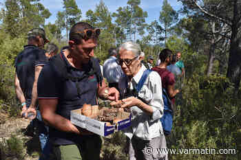 A Rocbaron, une aide pour que les propriétaires puissent entretenir leurs forêts - Var-matin